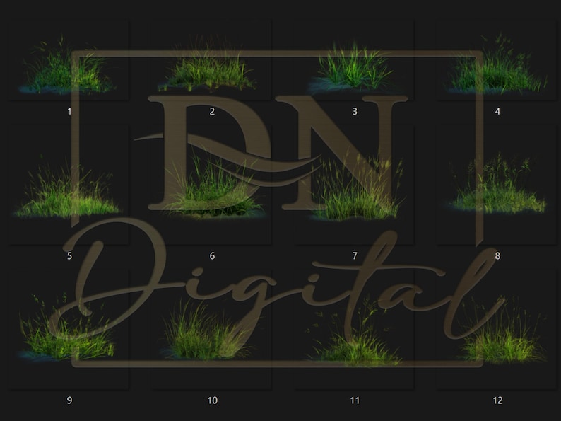 65 Grass Overlays/Clipart Collection • Green & Dry Grass PNG with Transparent Background • Natural Clip Art • Digital Photo Overlays image 4