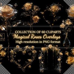 Collection de superpositions de 60 roses magiques • Images PNG haute résolution • Motifs floraux à fond transparent pour projets créatifs