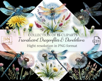 Watercolor Translucent Dragonflies and Dandelions Clipart Collection • Watercolor Dragonfly Illustration With Transparent Background