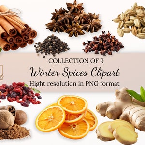 Coleção de clipart de especiarias de inverno com licença comercial gratuita • Ilustrações de especiarias de vinho quente • Clipart de especiarias de vinho quente