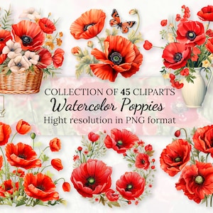 45 Coleção de clipart de papoulas em aquarela com licença comercial gratuita • Ilustrações de papoulas vermelhas • Papoulas vermelhas em aquarela florescendo