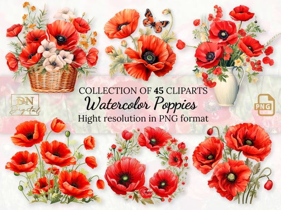 45 Watercolor Poppies Clipart Collection With Free Commercial License • Red Poppy Ilustrations • Blooming Watercolor Red Poppies