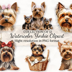 Watercolor Yorkshire Terrier Clipart •  Watercolor Yorkie Puppy PNG •  Cute Dog Clipart •  Dog Portrait Digital Stickers • PNG Format