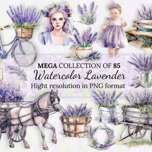 85 Coleção de clipart de aquarela de lavanda com licença comercial gratuita • Ilustrações de aquarela de lavanda • Alta resolução • Formato PNG