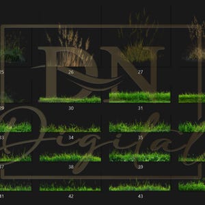 65 Grass Overlays/Clipart Collection • Green & Dry Grass PNG with Transparent Background • Natural Clip Art • Digital Photo Overlays image 6