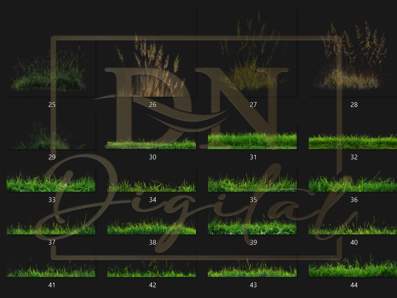 65 Grass Overlays/Clipart Collection • Green & Dry Grass PNG with Transparent Background • Natural Clip Art • Digital Photo Overlays image 6