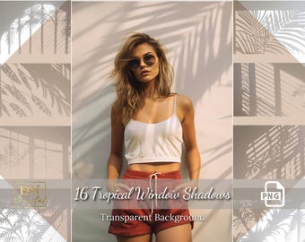 16 Window Tropical Shadows Overlay/Clipart Collection • Window Light Canva/Photoshop Overlay •Overlays for any photo editor •Sunlight Shadow