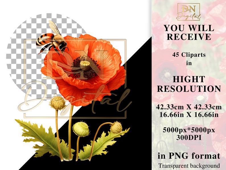 45 Watercolor Poppies Clipart Collection With Free Commercial License • Red Poppy Ilustrations • Blooming Watercolor Red Poppies image 2