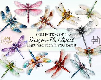 40 Dragon-Fly Clipart Collection • Dragonfly Illustration With Transparent Background • PNG Format • Instant Download