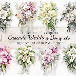 17 Cascade Wedding Bouquets Clipart Collection com licença comercial gratuita • Ilustração de buquês de flores • Flores de casamento