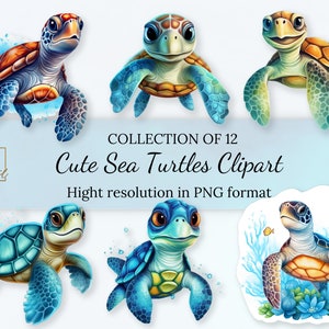Aquarell Süße Meeresschildkröte PNG • Meeresschildkröte Clipart • Meerestiere PNG • Meerestiere • Süße Meeresschildkröten-Wandkunst • Freie kommerzielle Lizenz
