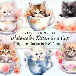 14 Watercolor Kitten in a Cup Clipart Collection With Free Commercial License • Cute Kitten in a Cup Ilustrations•Hight Resolution PNG Files
