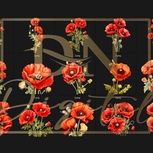 45 Watercolor Poppies Clipart Collection With Free Commercial License • Red Poppy Ilustrations • Blooming Watercolor Red Poppies image 3