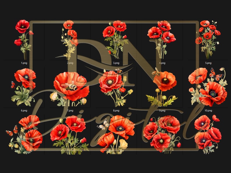 45 Watercolor Poppies Clipart Collection With Free Commercial License • Red Poppy Ilustrations • Blooming Watercolor Red Poppies image 3