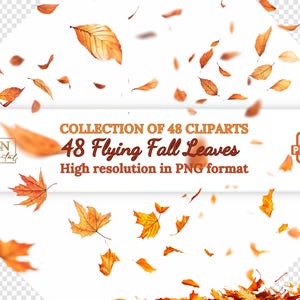 48 Fliegende Herbst Blätter Overlays/Clipart Sammlung • Herbst Blätter Clip Art • Realistische fallende Blätter Transparenter Hintergrund Foto Overlays