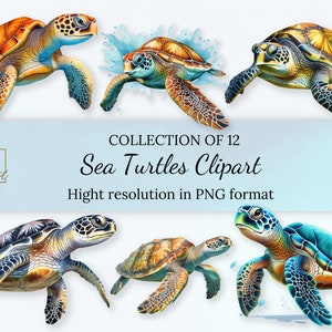 Sea Turtle PNG • Sea Turtle Clipart • Sea Animals PNG • Cute Sea Turtle • Ocean Animals • Sea Turtle Wall Art • Free Commercial License