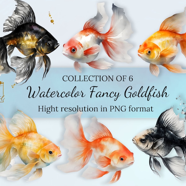 Watercolor Fancy Goldfish Clipart Collection With Free Commercial License • Fancy Goldfish Ilustrations • Hight Resolution PNG Files