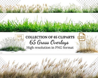 65 Grass Overlays/Clipart Collection • Green & Dry Grass PNG with Transparent Background • Natural Clip Art • Digital Photo Overlays