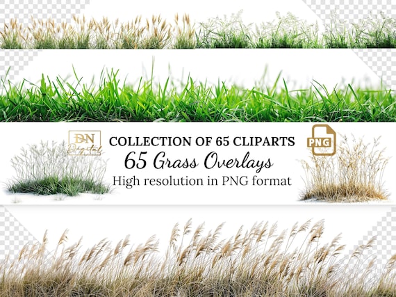 65 Grass Overlays/Clipart Collection • Green & Dry Grass PNG with Transparent Background • Natural Clip Art • Digital Photo Overlays