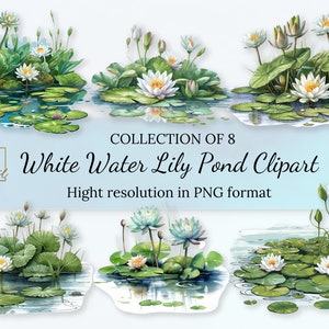 White Water Lily Clipart Collection • Waterlilies Illustration With Transparent Background • PNG Format • Instant Download