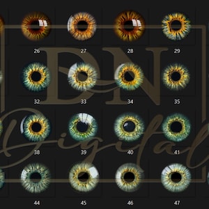 85 Eye Iris Overlays/clipart Collection • High-res Realistic Eye ...