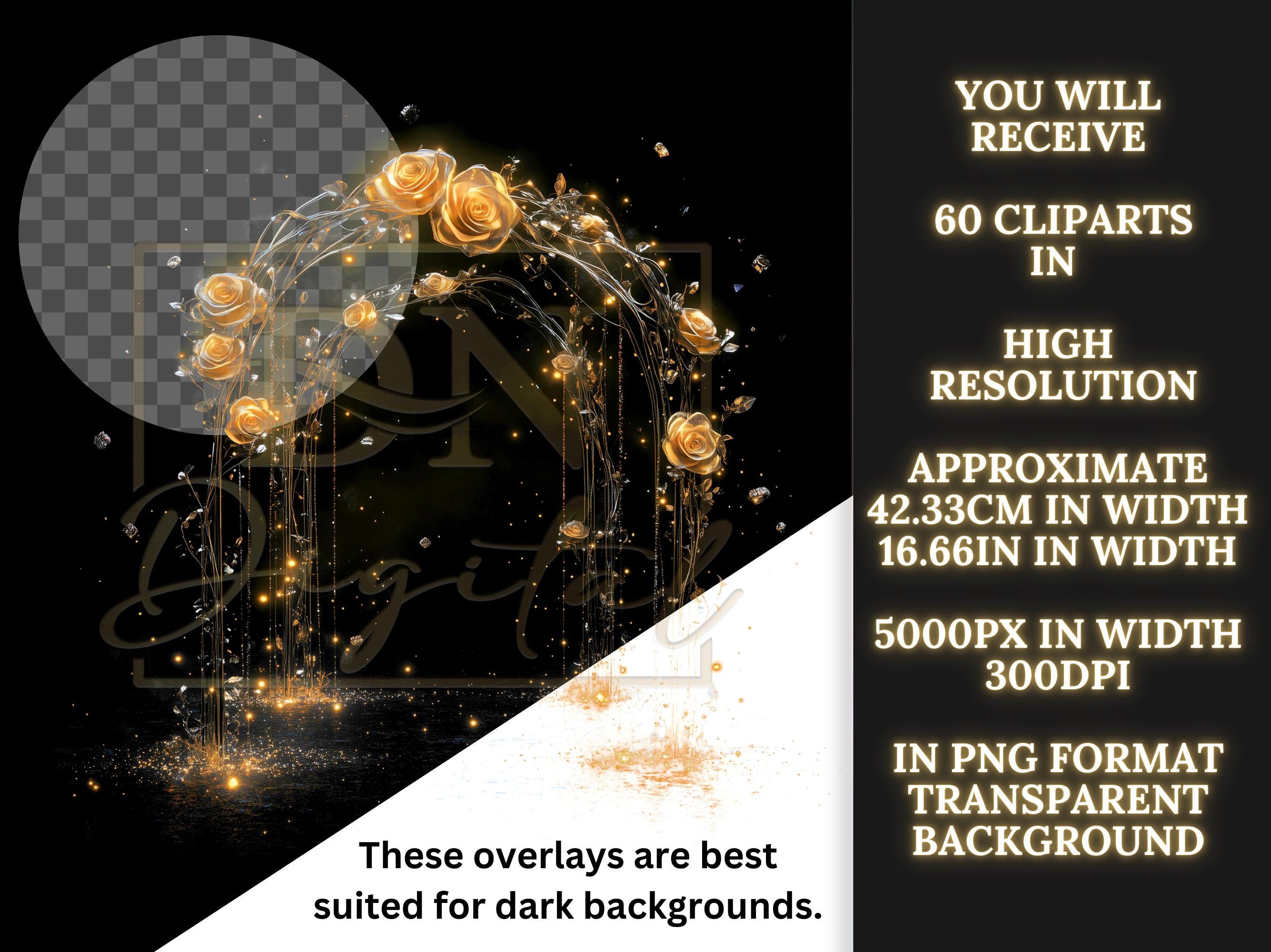 White Roses Overlay 60 Magical Roses Overlays Collection • High Resolution PNG Cliparts ...