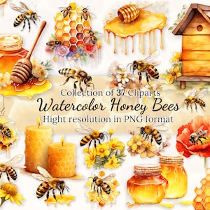 Clipart-collectie aquarel honingbijen • Prachtige bijafbeeldingen voor ambachten en ontwerpen • Transparante achtergrond • PNG-indeling • Directe download