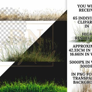 65 Grass Overlays/Clipart Collection • Green & Dry Grass PNG with Transparent Background • Natural Clip Art • Digital Photo Overlays image 2