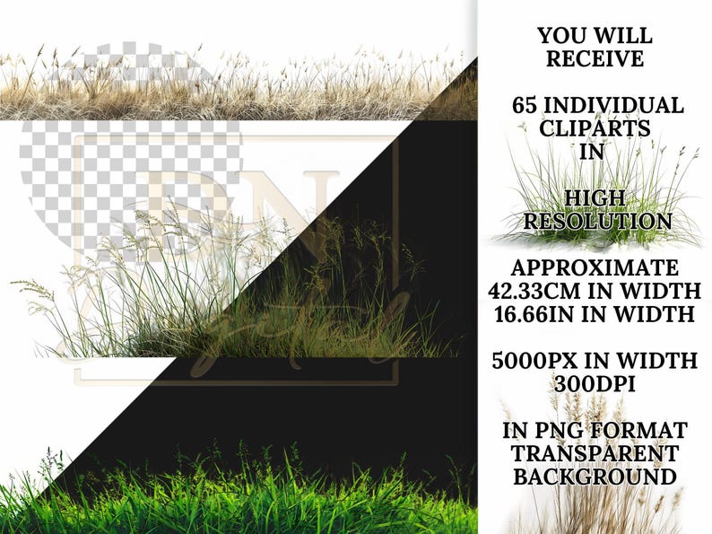 65 Grass Overlays/Clipart Collection • Green & Dry Grass PNG with Transparent Background • Natural Clip Art • Digital Photo Overlays image 2