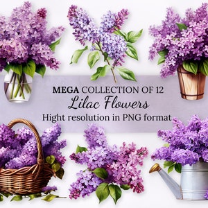 Lilac Flowers Clipart Collection With Free Commercial License  • Watercolor Lilac Flowers Ilustrations • Hight Resolution • PNG Format