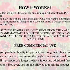 45 Watercolor Poppies Clipart Collection With Free Commercial License • Red Poppy Ilustrations • Blooming Watercolor Red Poppies image 6