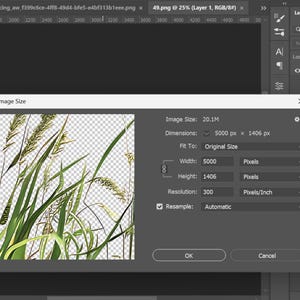65 Grass Overlays/Clipart Collection • Green & Dry Grass PNG with Transparent Background • Natural Clip Art • Digital Photo Overlays image 3