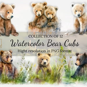 Collection de cliparts aquarelles d'oursons de la forêt • Images PNG avec licence commerciale complète • Collection de cliparts à téléchargement immédiat