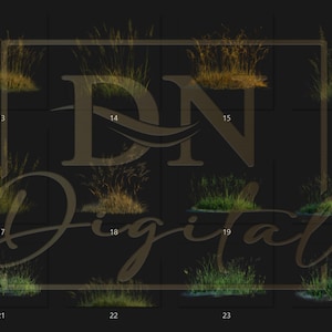 65 Grass Overlays/Clipart Collection • Green & Dry Grass PNG with Transparent Background • Natural Clip Art • Digital Photo Overlays image 5
