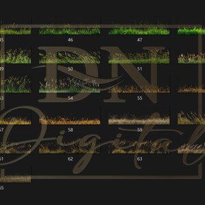 65 Grass Overlays/Clipart Collection • Green & Dry Grass PNG with Transparent Background • Natural Clip Art • Digital Photo Overlays image 7