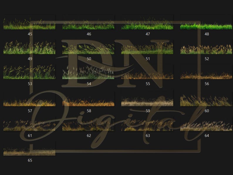 65 Grass Overlays/Clipart Collection • Green & Dry Grass PNG with Transparent Background • Natural Clip Art • Digital Photo Overlays image 7