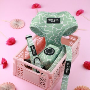 Dog set with snake pattern (4 pieces)