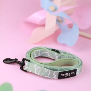 Laisse de chien avec design de serpent abstrait