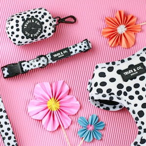Dog set with Dalmatian pattern (4 pieces)