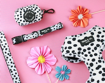 Dog set with Dalmatian pattern (4 pieces)