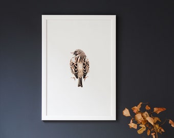 Sparrow | Minimal wall art | Elegant interior | Conteporary | Living room Deco | Printed photograph