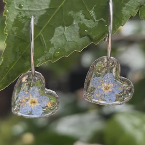 Forget-Me-Not Resin Earrings , Real Flower Jewellery , Small Heart Drop Hooks , Waterproof Floral Earrings , Romantic Gift for Her UK
