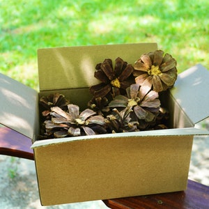 Pinecone Flower box, Decorative flower, Extra large pinecone flowers, pine cone craft supply image 2