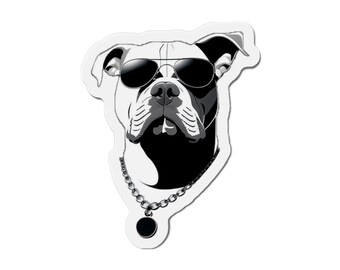 Magnete cane con occhiali da sole