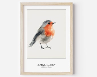 Rotkehlchen Poster Watercolor Digitale Wandkunst Poster für Ornithologen Geschenk Umzug Aquarell Poster Rotkehlchen Vogelposter