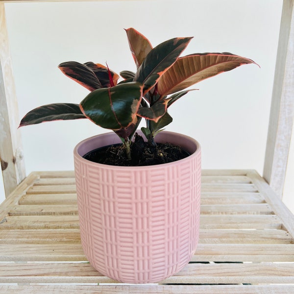 Blush Pink Pattern Ceramic Plant Pot for Indoor Plant 12cm Boho Chic Décor