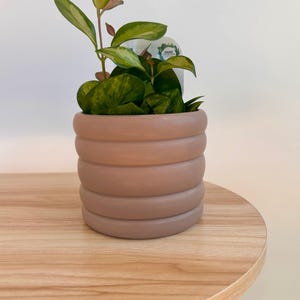 Op de afbeelding: Een kleine potplant met groene en gele bladeren. De plant staat in een lichtbruine, cilindrische pot met een geribbeld ontwerp. De pot staat op een licht houten oppervlak. Een wit label met tekst is zichtbaar.