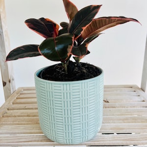 Mint Green Pattern Ceramic Plant Pot for Indoor Plant 12cm Boho Chic Décor