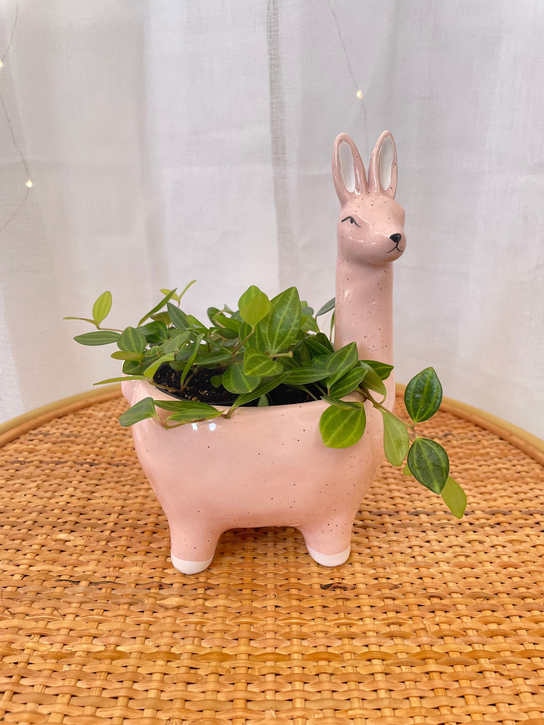 Small Pink Alpaca Ceramic Planter Pot for Indoor Plant