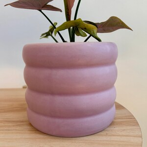 May include: A small houseplant in a light pink, ribbed ceramic pot. The plant has green stems and pink and green leaves. The pot sits on a round, light-colored wooden surface.